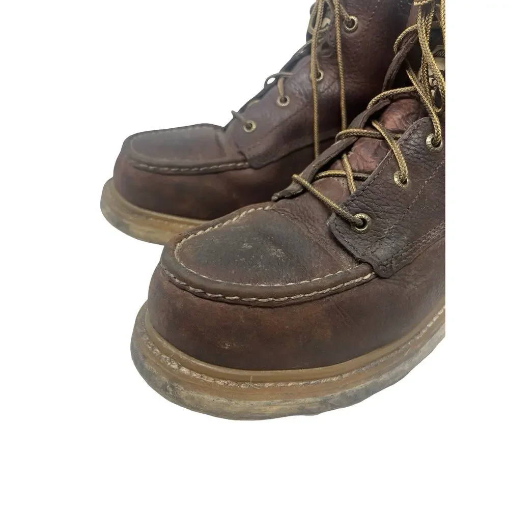 Irish Setter Ashby 6